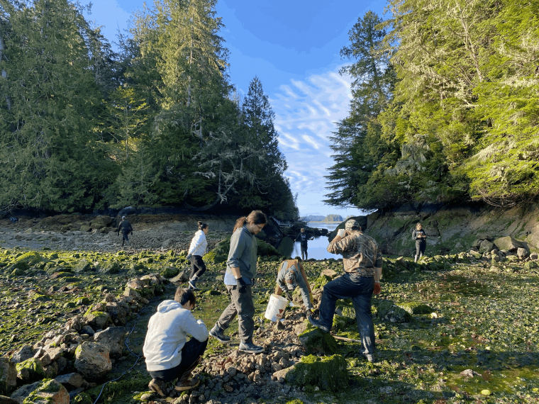 Dans le territoire Nuu-Chah-Nulth, en Colombie-Britannique, des jeunes ont collaboré avec des aînés et des maîtres sculpteurs pour créer une œuvre d’art sociale tout en partageant des connaissances intergénérationnelles. La protection durable du milieu marin et la revitalisation culturelle se trouvaient au cœur de ce travail, mené par les jeunes ambassadeurs autochtones Jessie (Lakos) Everson et Andrew Clappis, avec le soutien de la Nuu-chah-nulth Youth Warrior Family Society. Crédit photo: CIER/Nuu-chah-nulth Youth Warrior Family Society
