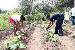 Central America microloans agriculture