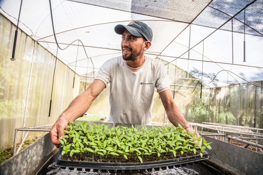 Man gardening