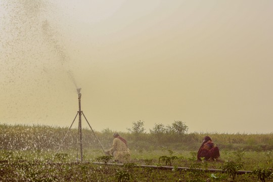 Pistolets à eau dans des champs en inde