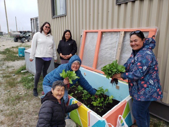 Femmes qui récoltent des légumes au Nunavik
