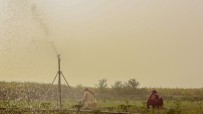 Rain guns in Indian fields