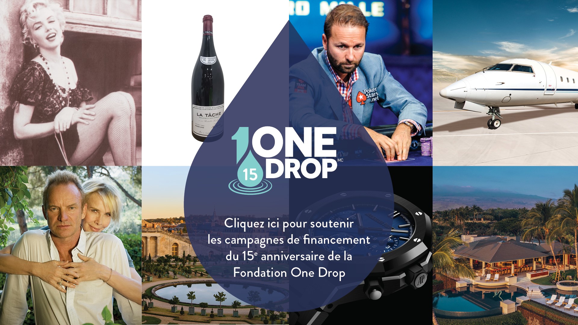 Enchères et programme de dons du 15e anniversaire